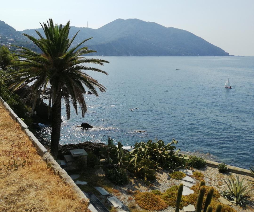 Il Grecale Apartment Recco Bagian luar foto
