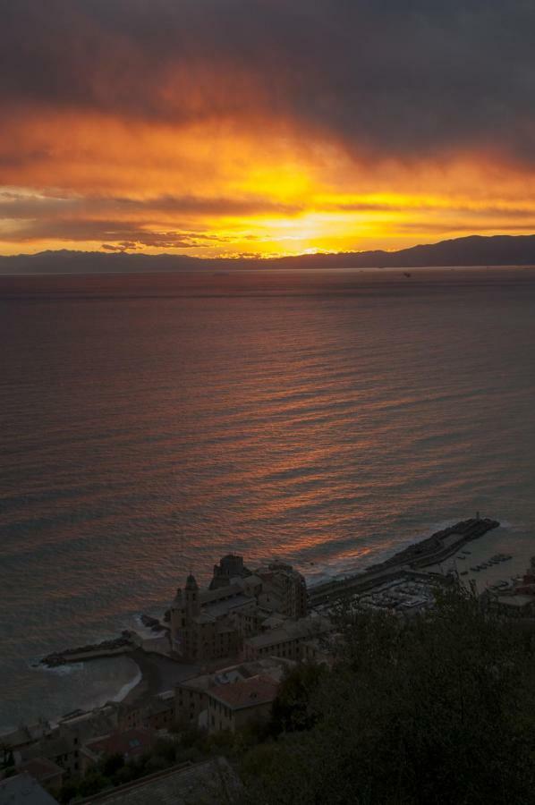 Il Grecale Apartment Recco Bagian luar foto